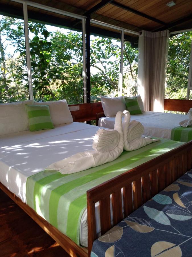 Sinharaja Kurulu Ella Eco Lodge Deniyaya