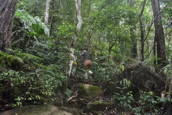 Lodge Sinharaja Kurulu Ella Eco *