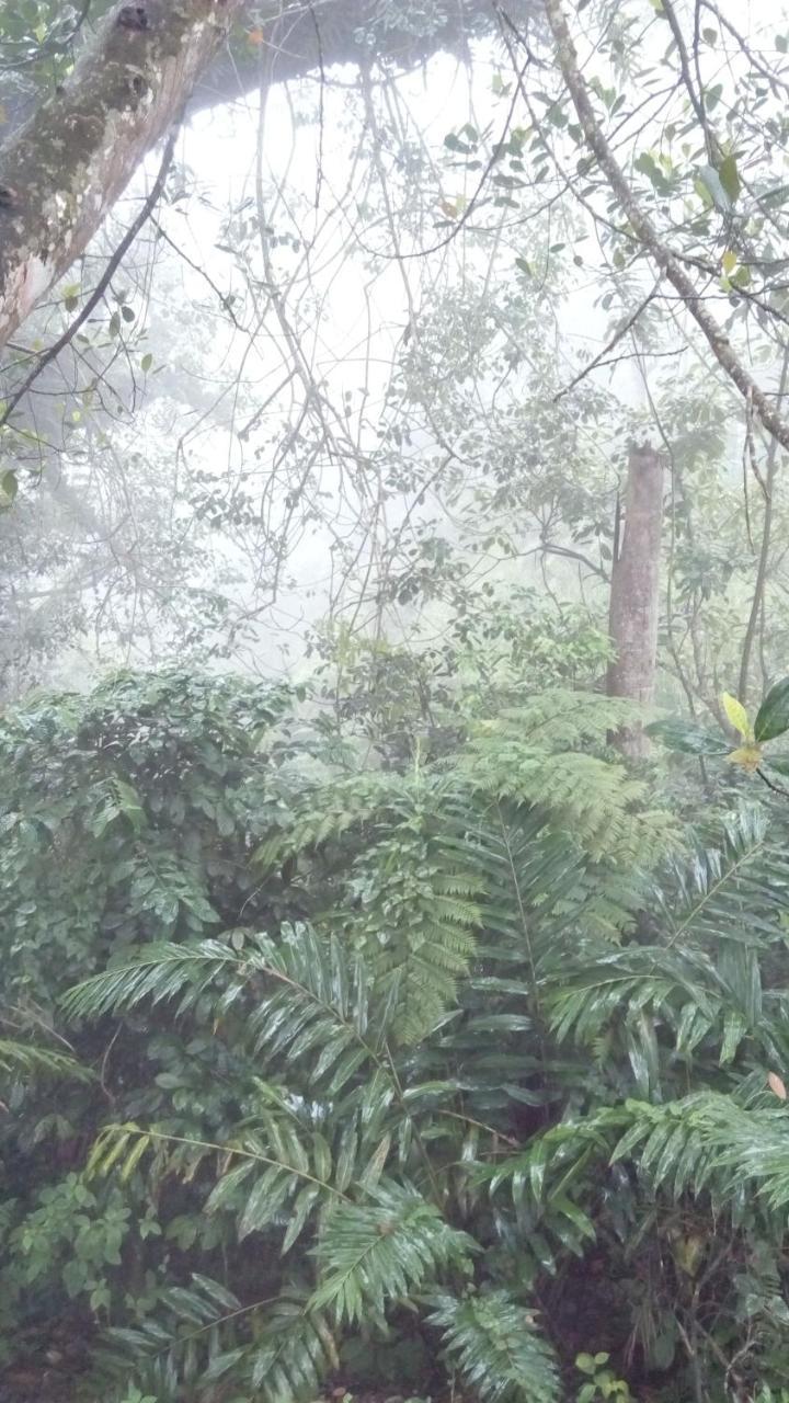 Sinharaja Kurulu Ella Eco Deniyaya