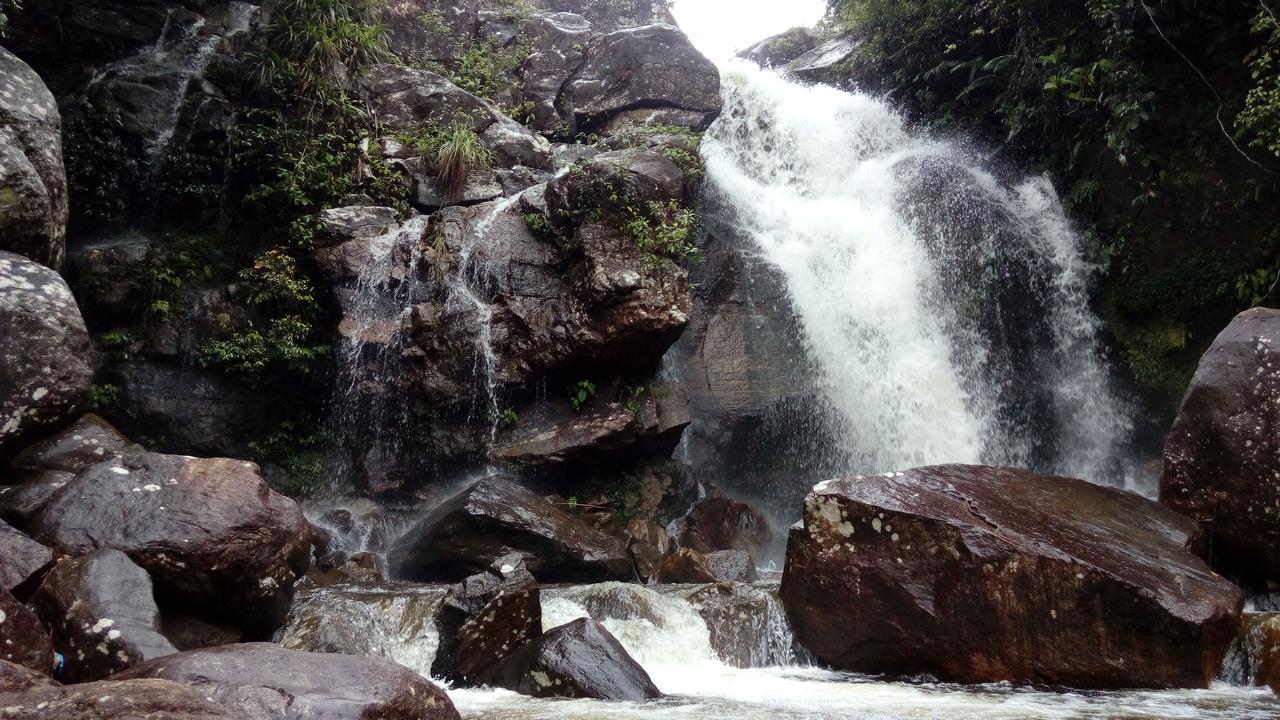 Sinharaja Kurulu Ella Eco