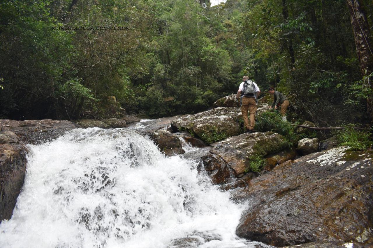 Lodge Sinharaja Kurulu Ella Eco Deniyaya