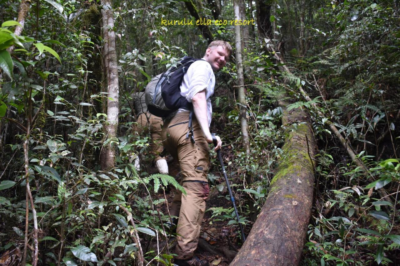 Sinharaja Kurulu Ella Eco *