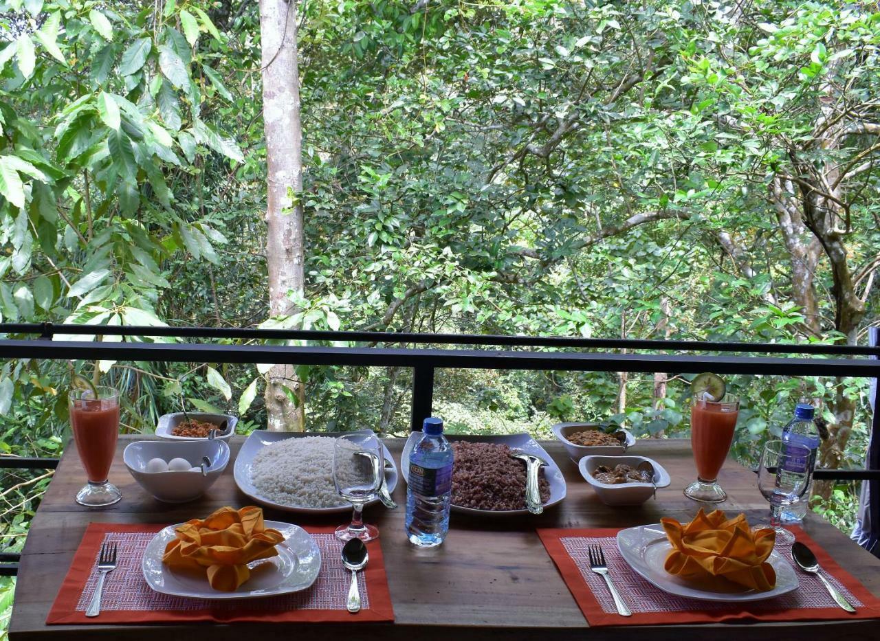 Lodge Sinharaja Kurulu Ella Eco Deniyaya